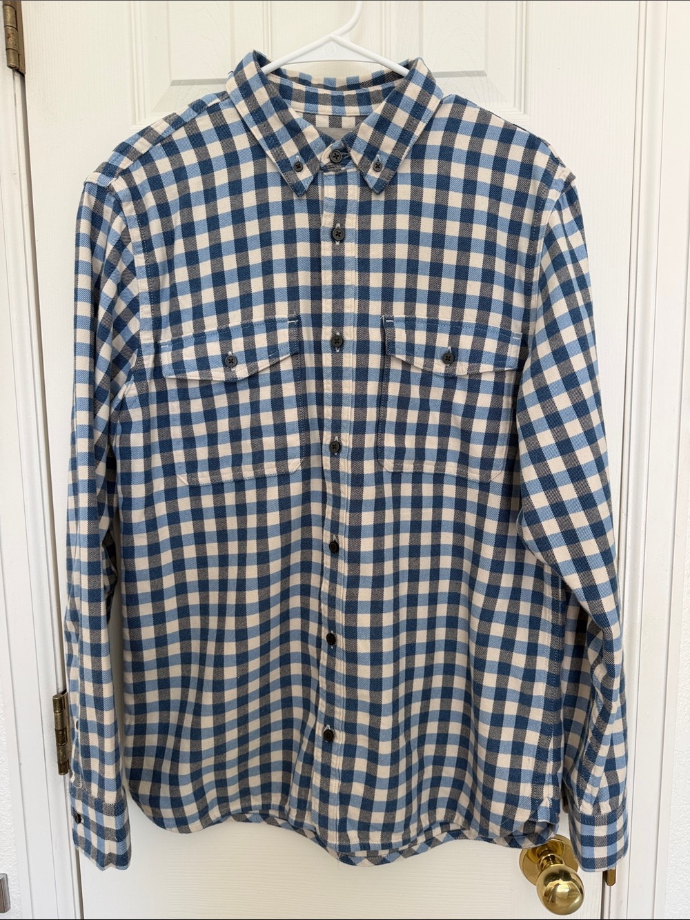 Everlane Blue and White Gingham Button-Down